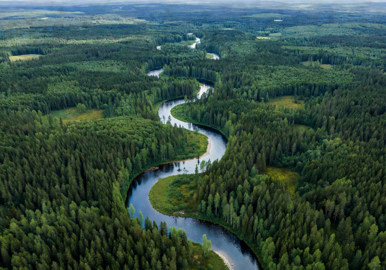 Aerial view of winding river cutting through endless green Finnish forest